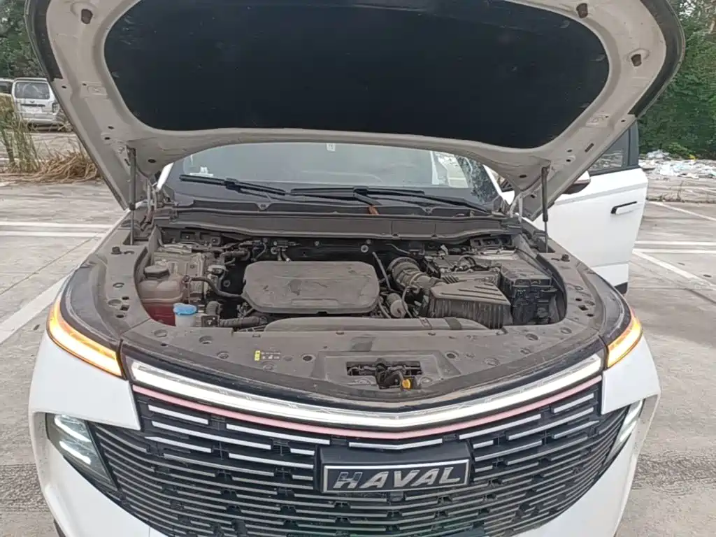 Haval Shenshou — миниатюра 20