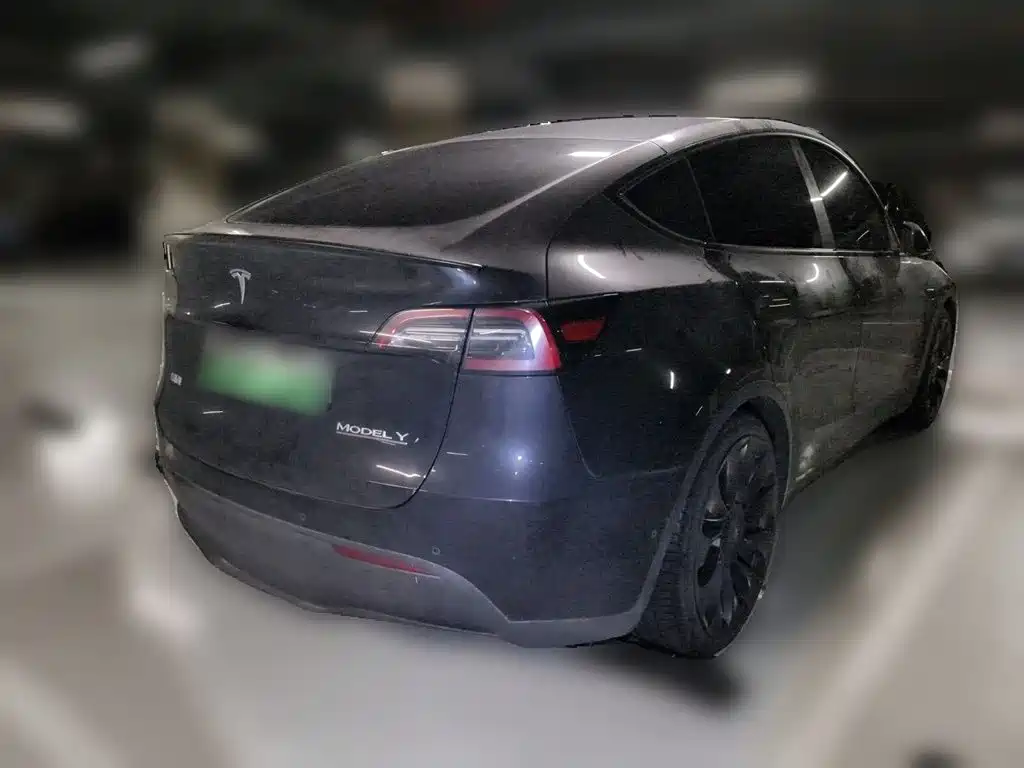 Tesla Model Y — миниатюра 5