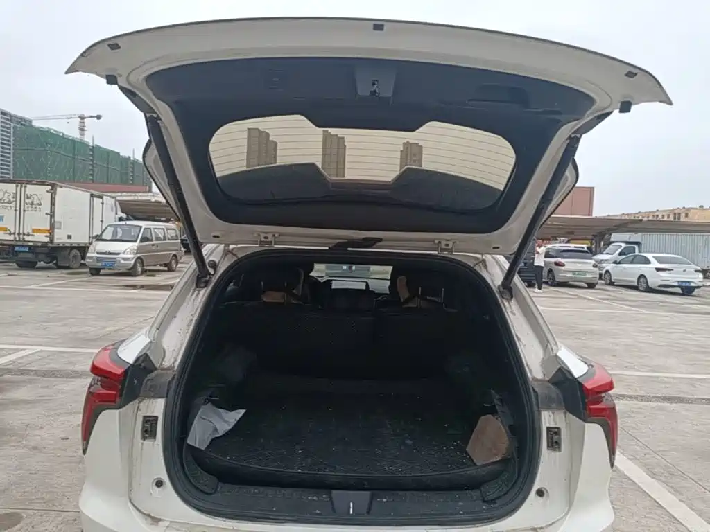 Haval Shenshou — миниатюра 19