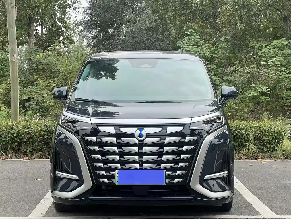 Denza Denza D9 — миниатюра 2