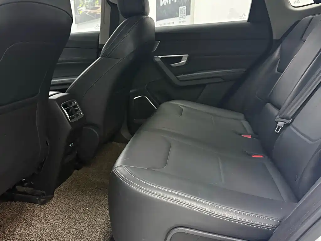 BYD Pro New Energy — миниатюра 6