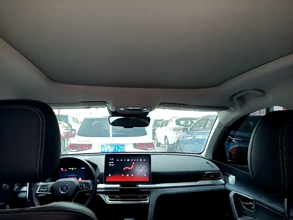 BYD Pro New Energy — миниатюра 18