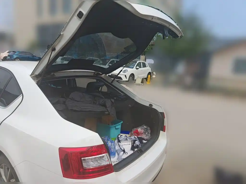 Skoda Octavia — миниатюра 20