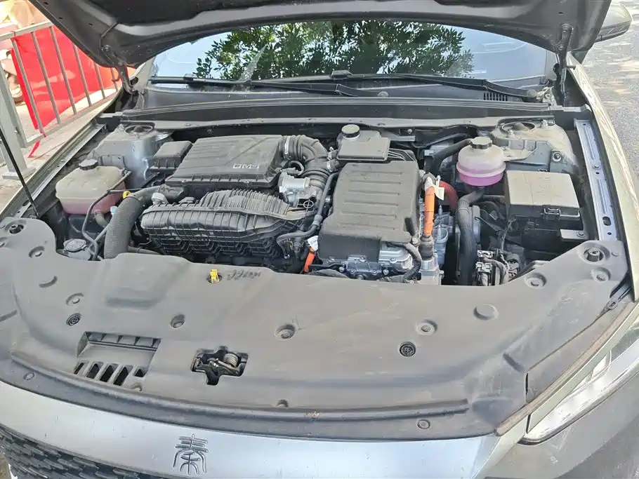 BYD Qin Plus PLUS 2024 DM-i 55KM Lead