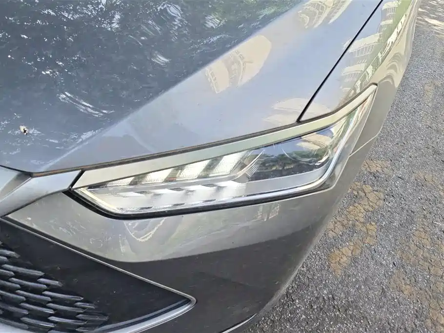 BYD Qin Plus PLUS 2024 DM-i 55KM Lead