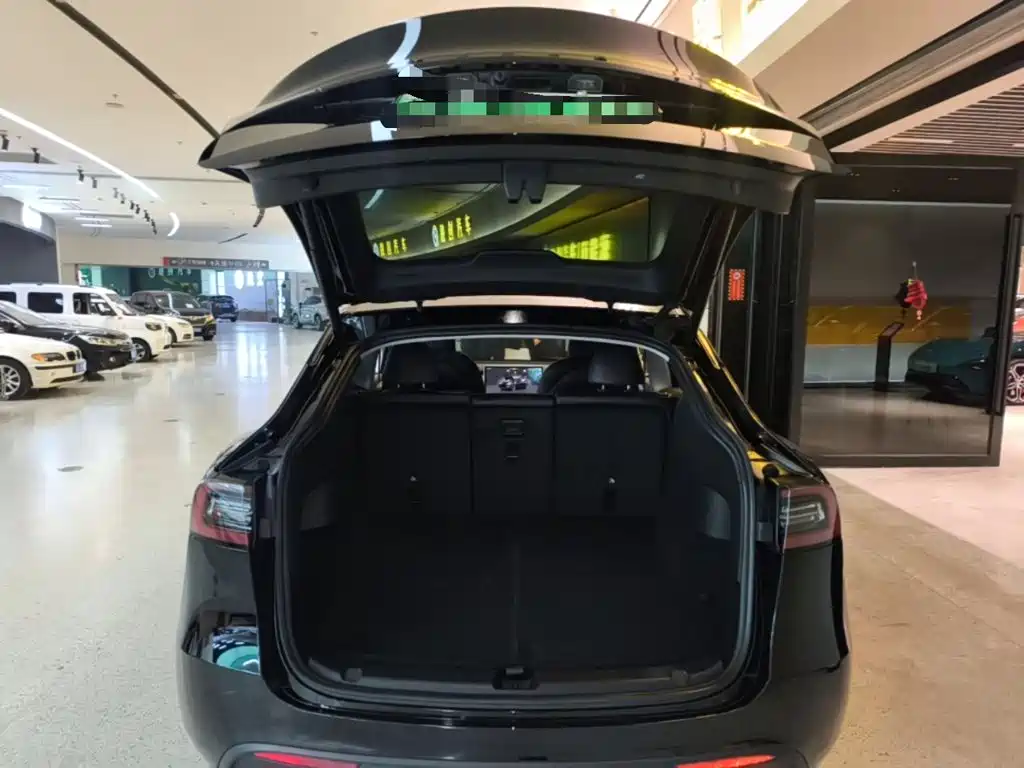 Tesla Model Y — миниатюра 19