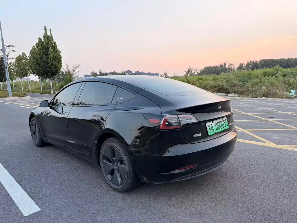 Tesla Model 3 — миниатюра 9