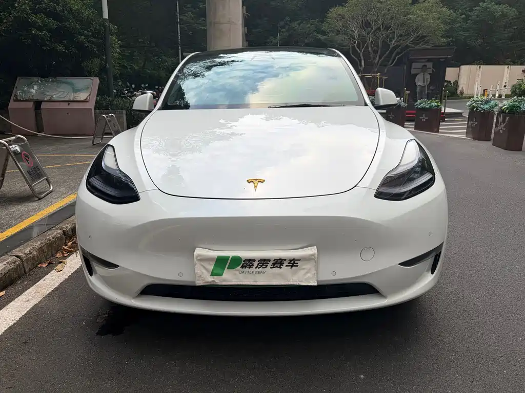 Tesla Model Y — миниатюра 2