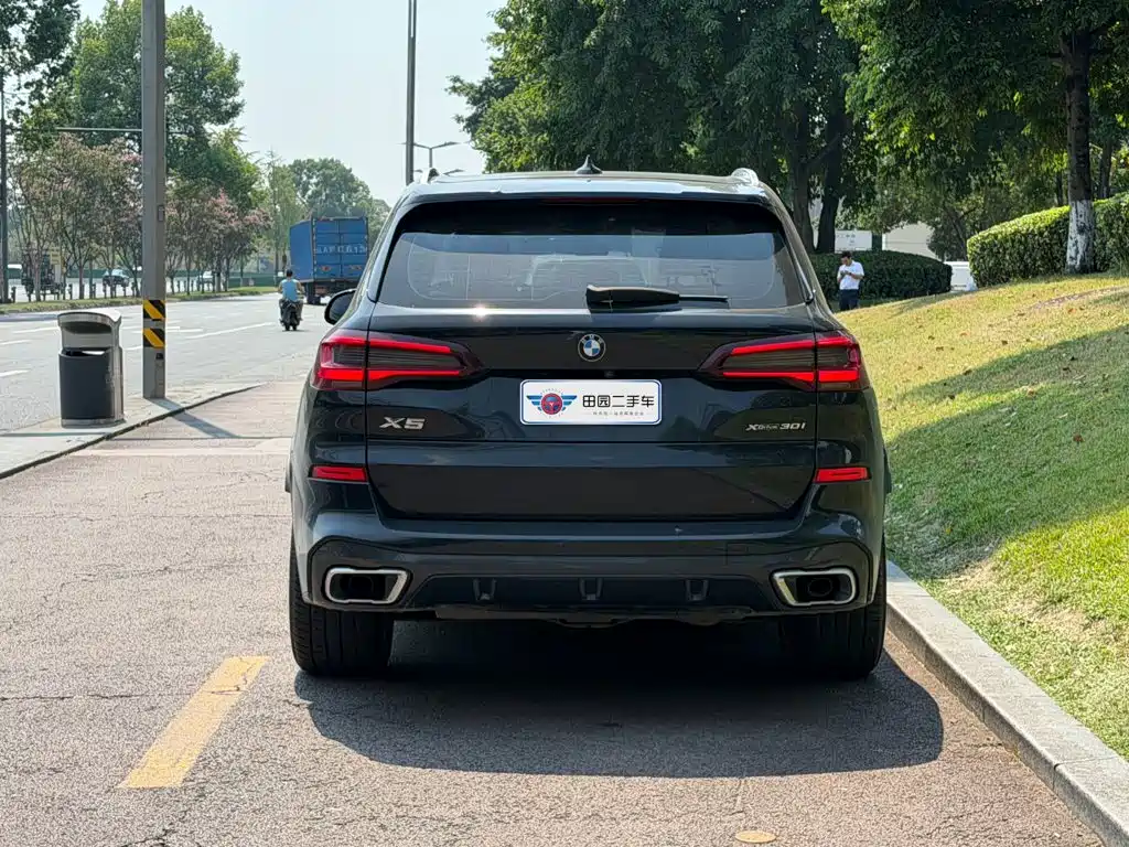 BMW X5 (Import) — миниатюра 5