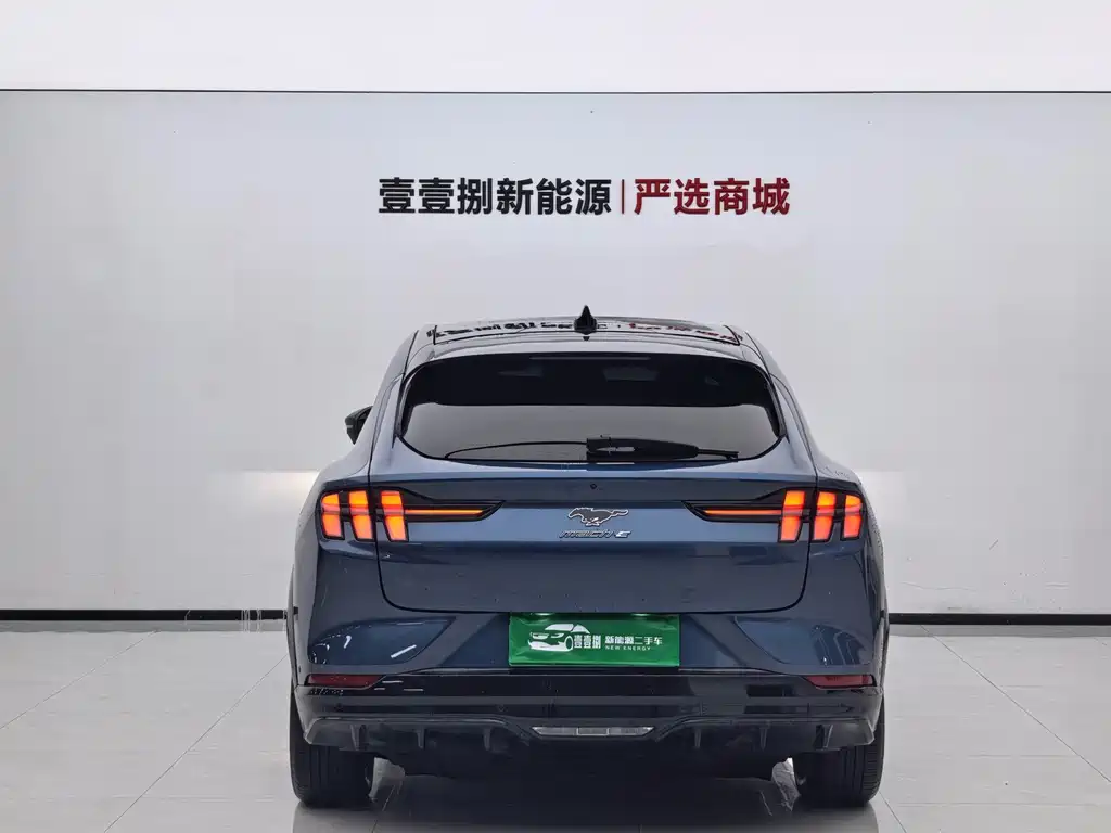 Ford Mustang Mach-E — миниатюра 9