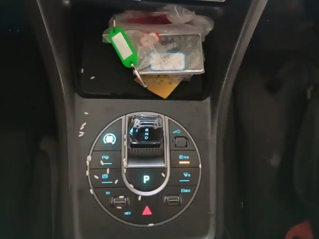 BYD Sealion 05 DM-i — миниатюра 14