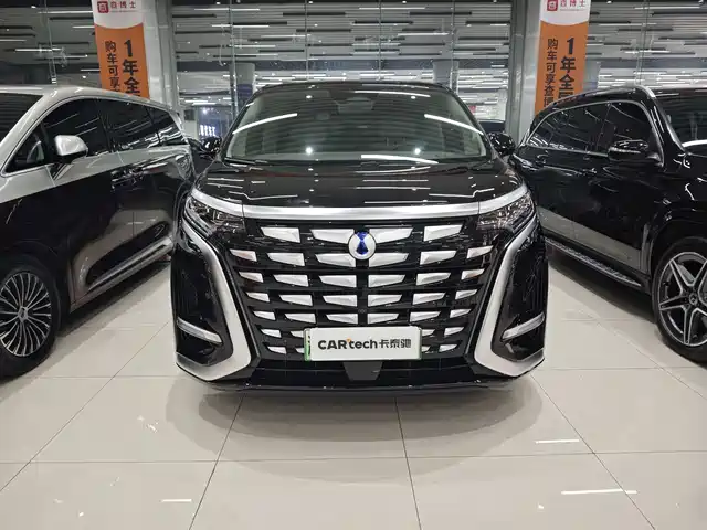 2023 Denza D9