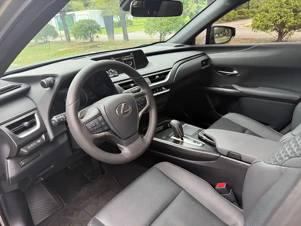 Lexus UX 2020 300e