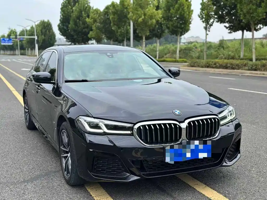 BMW 5 Series — миниатюра 3