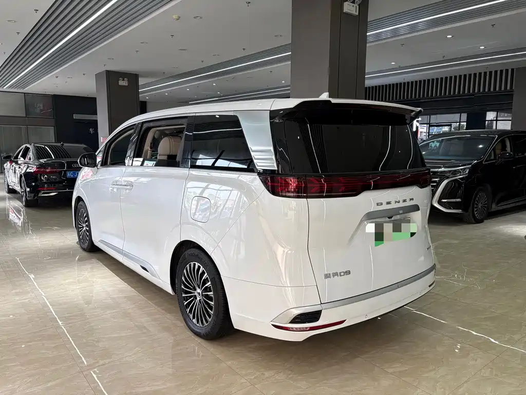 Denza Denza D9 — миниатюра 6