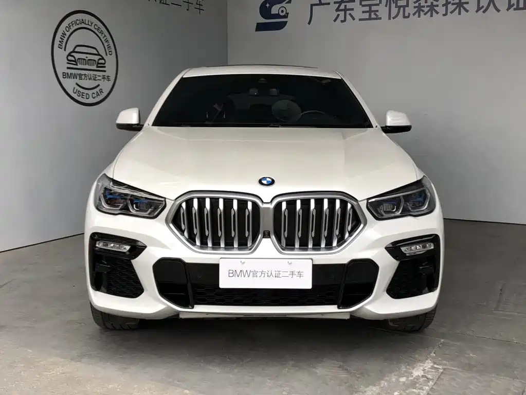 BMW X6 2021 xDrive40i M Sport