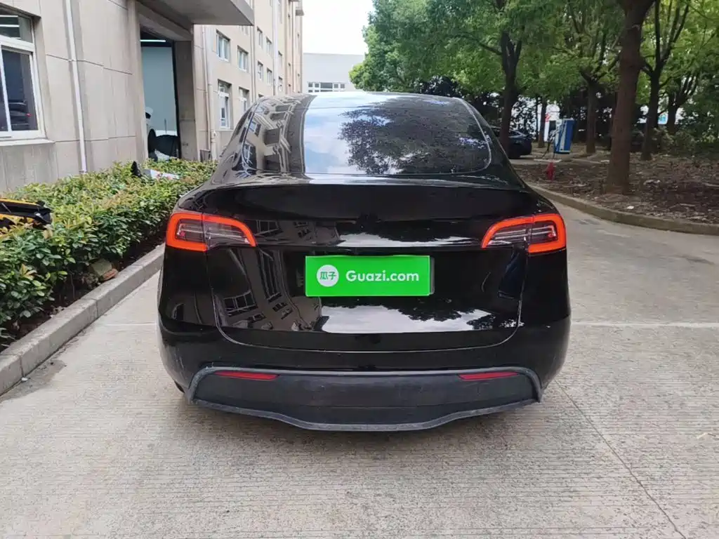 Tesla Model Y — миниатюра 6