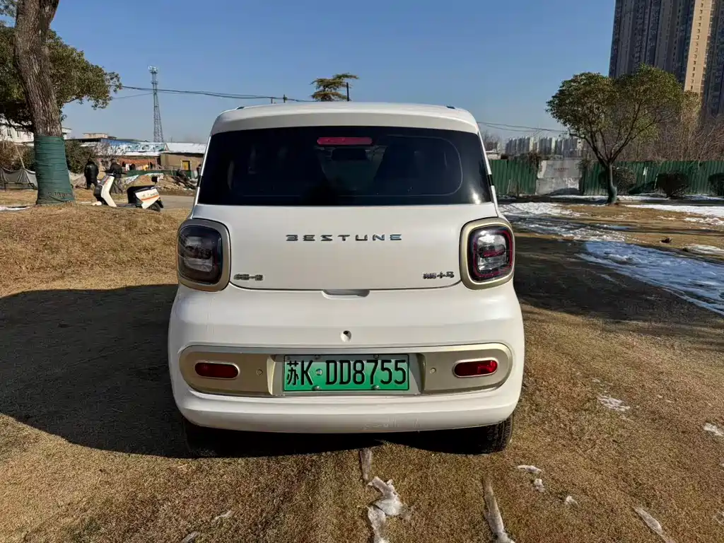 BESTUNE PENTIUM PONY