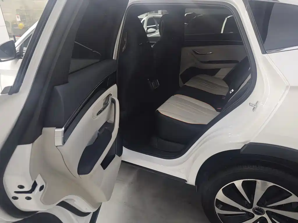 BYD PLUS New Energy — миниатюра 9