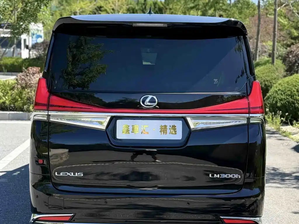 Lexus LM — миниатюра 4