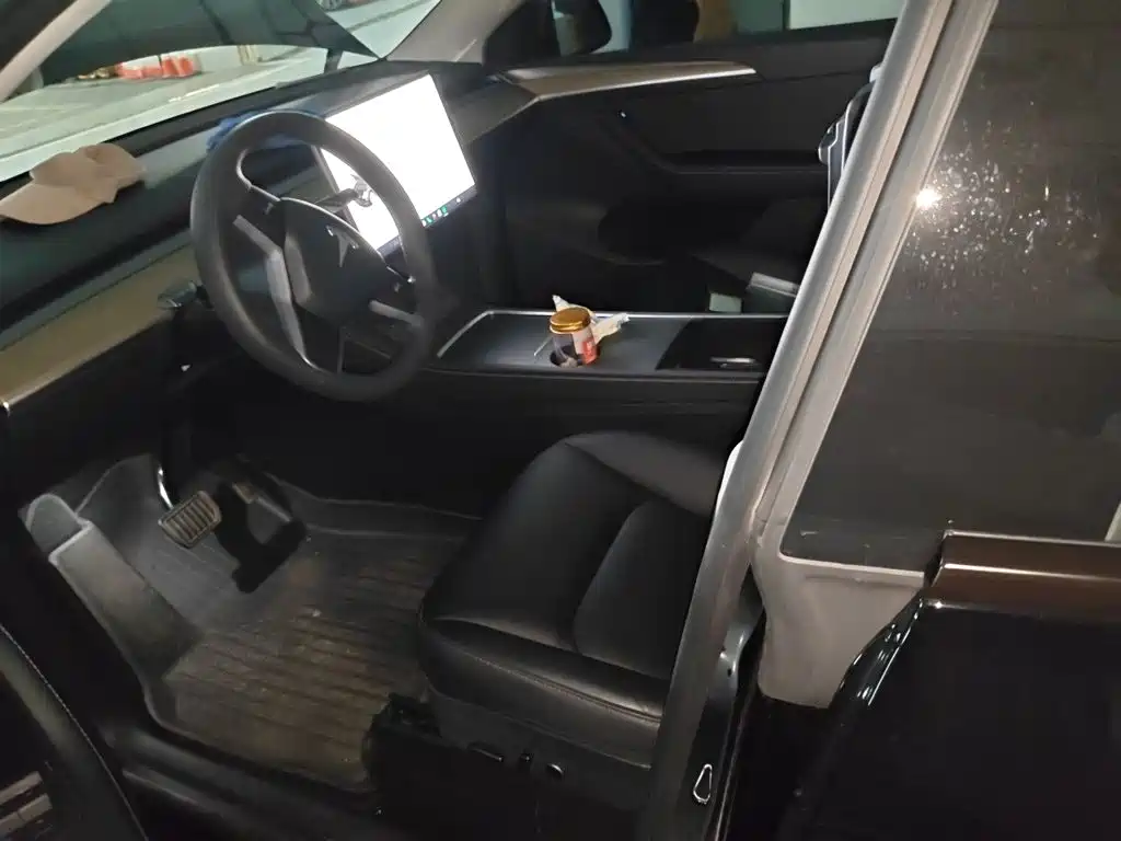 Tesla Model Y — миниатюра 12
