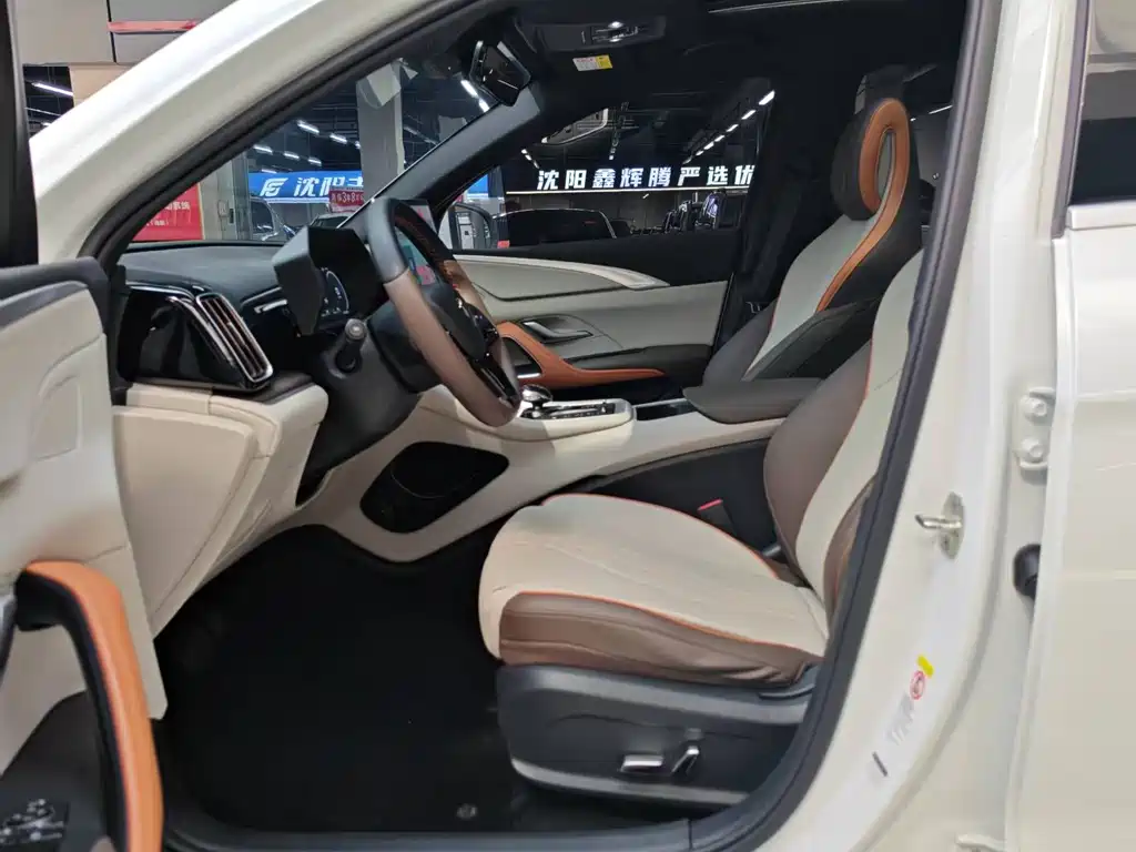 BYD Pro New Energy — миниатюра 7