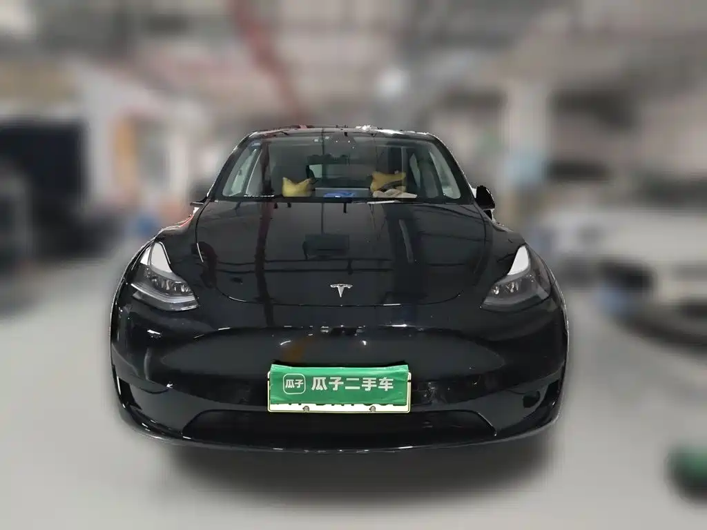 Tesla Model Y — миниатюра 3