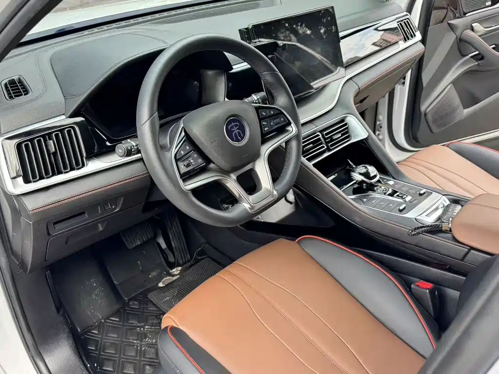 BYD PLUS — миниатюра 10