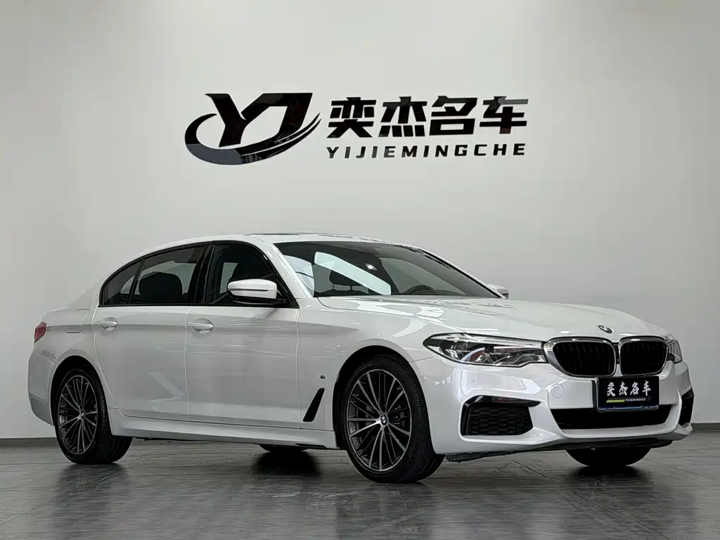 BMW 5 Series 5 2019 530Li Premium M Sport
