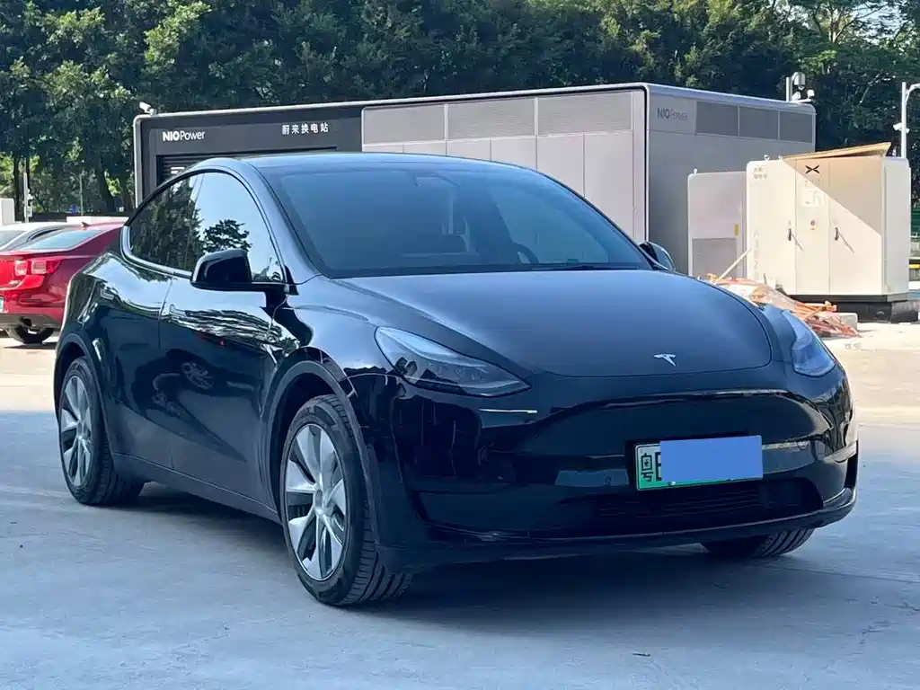 Tesla Model Y — миниатюра 3