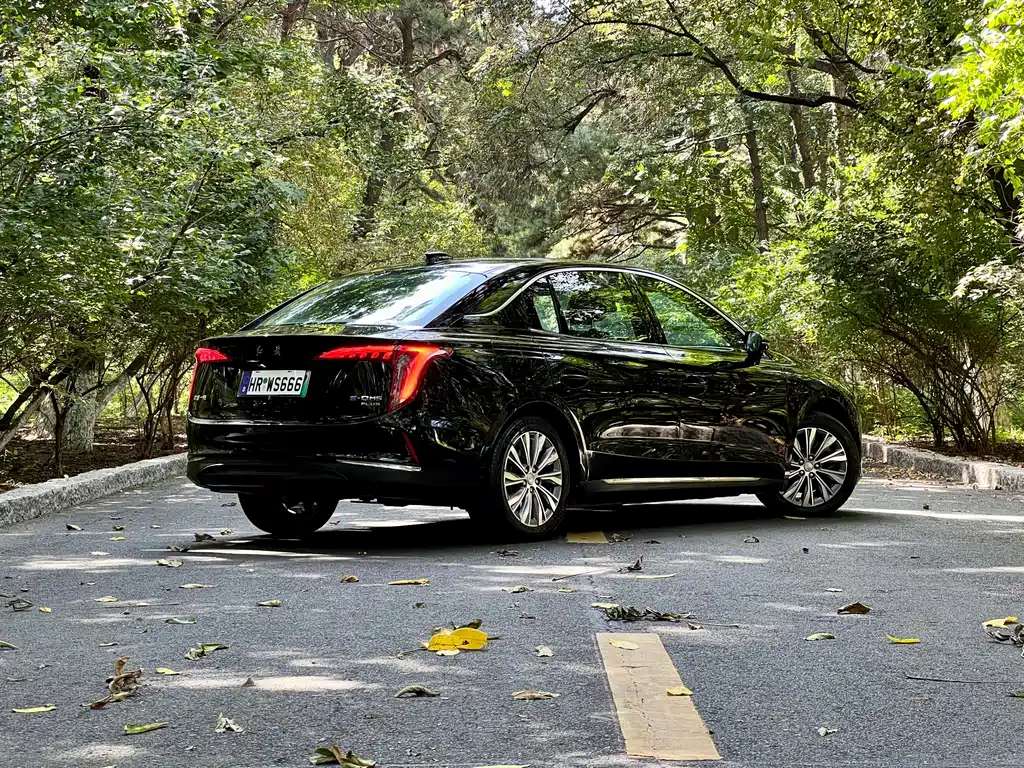 Hongqi Hongqi E-QM5 — миниатюра 3