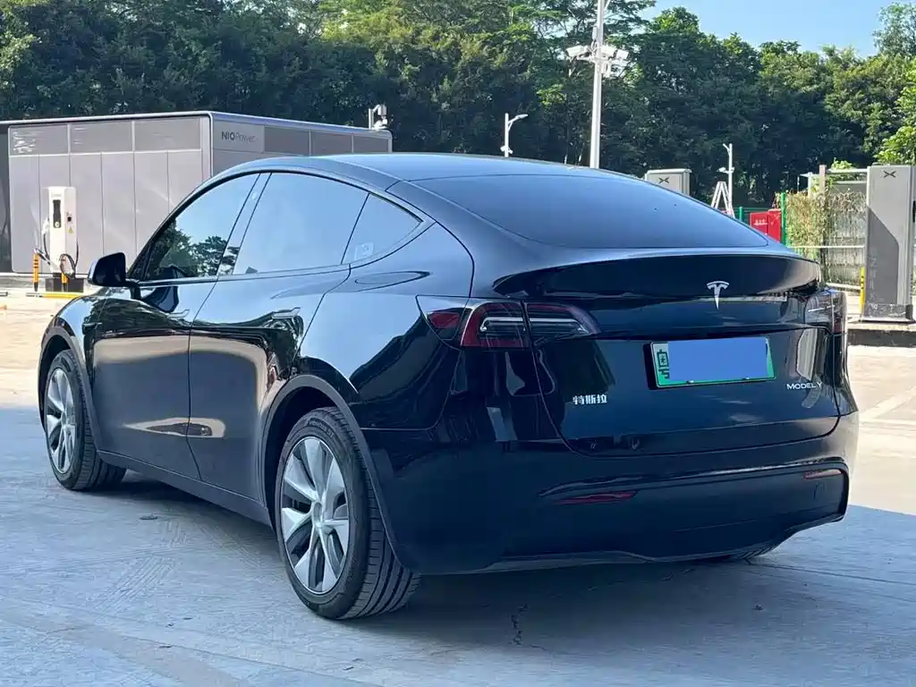 Tesla Model Y — миниатюра 10