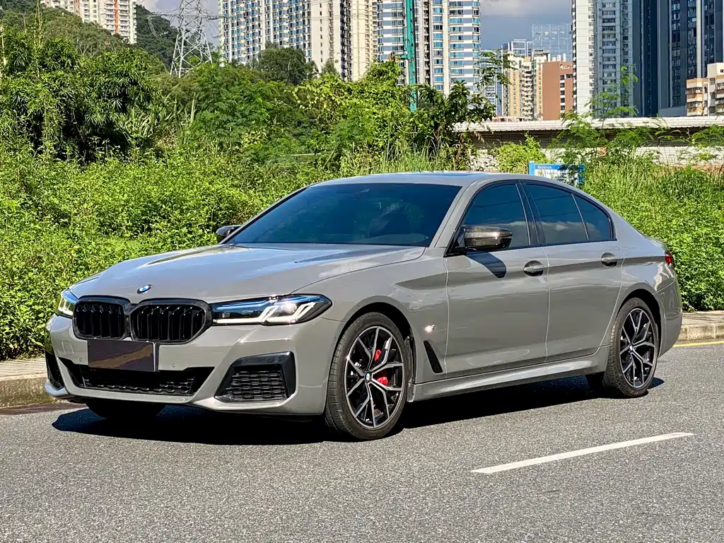 BMW 5 Series (Import)