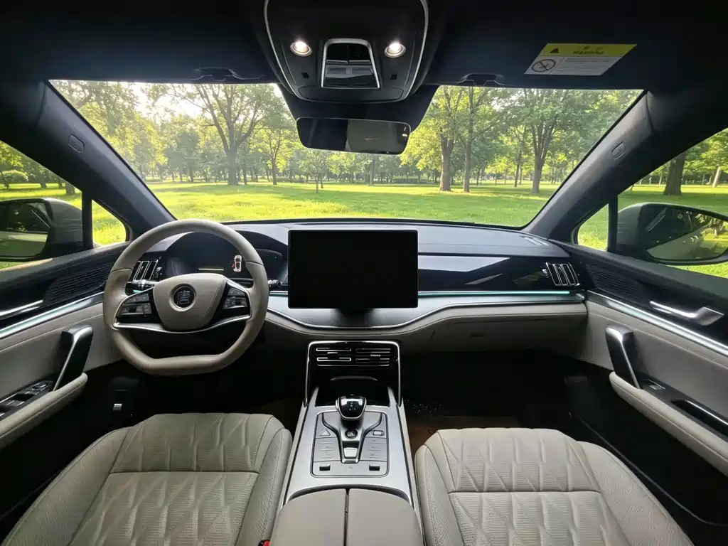 BYD Tang New Energy — миниатюра 7
