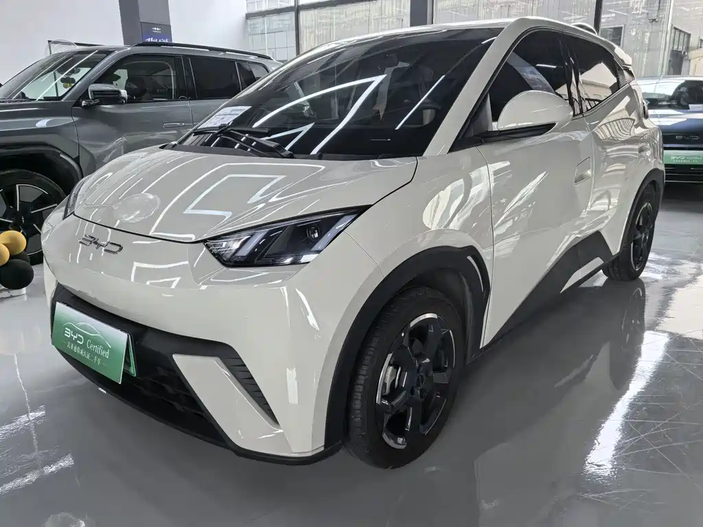 Byd Seagull 2024
