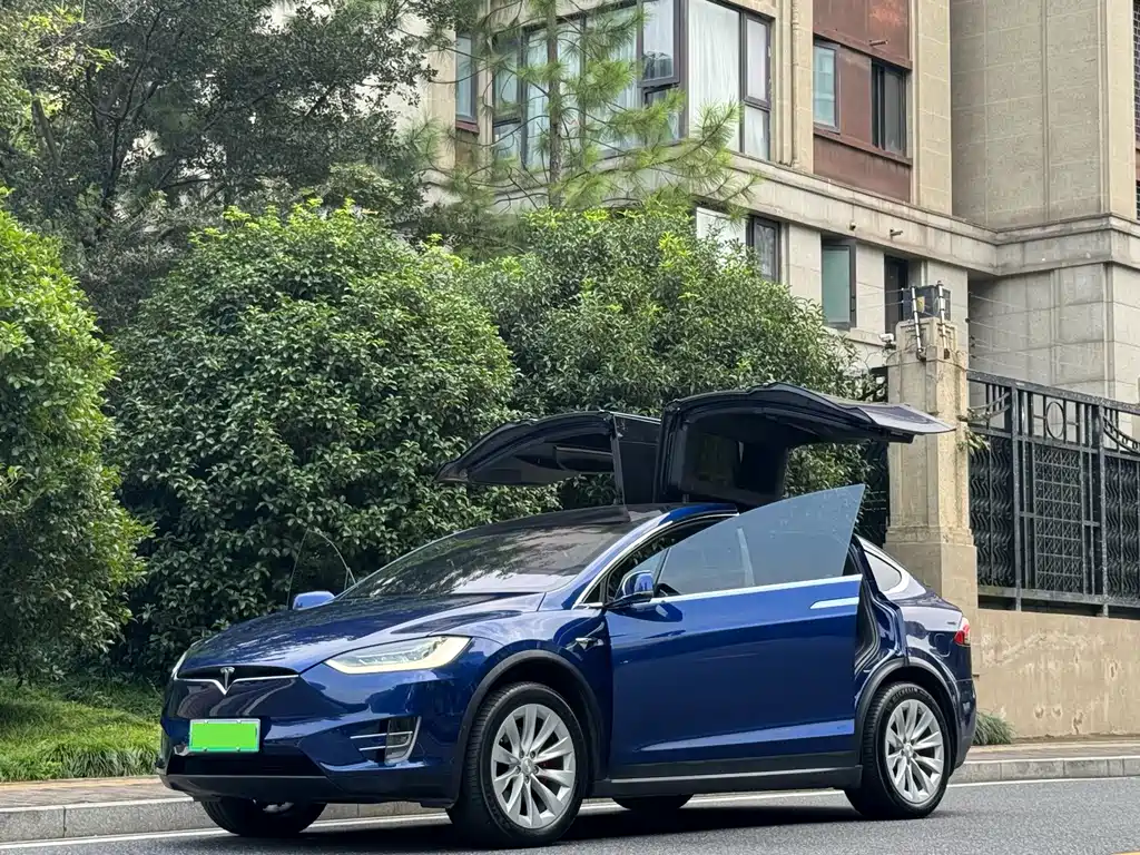 Tesla Model X — миниатюра 2