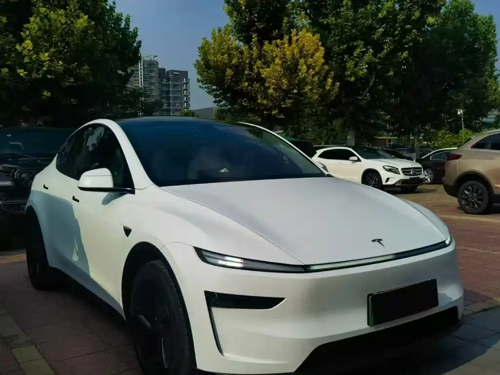 Tesla Model Y — миниатюра 3