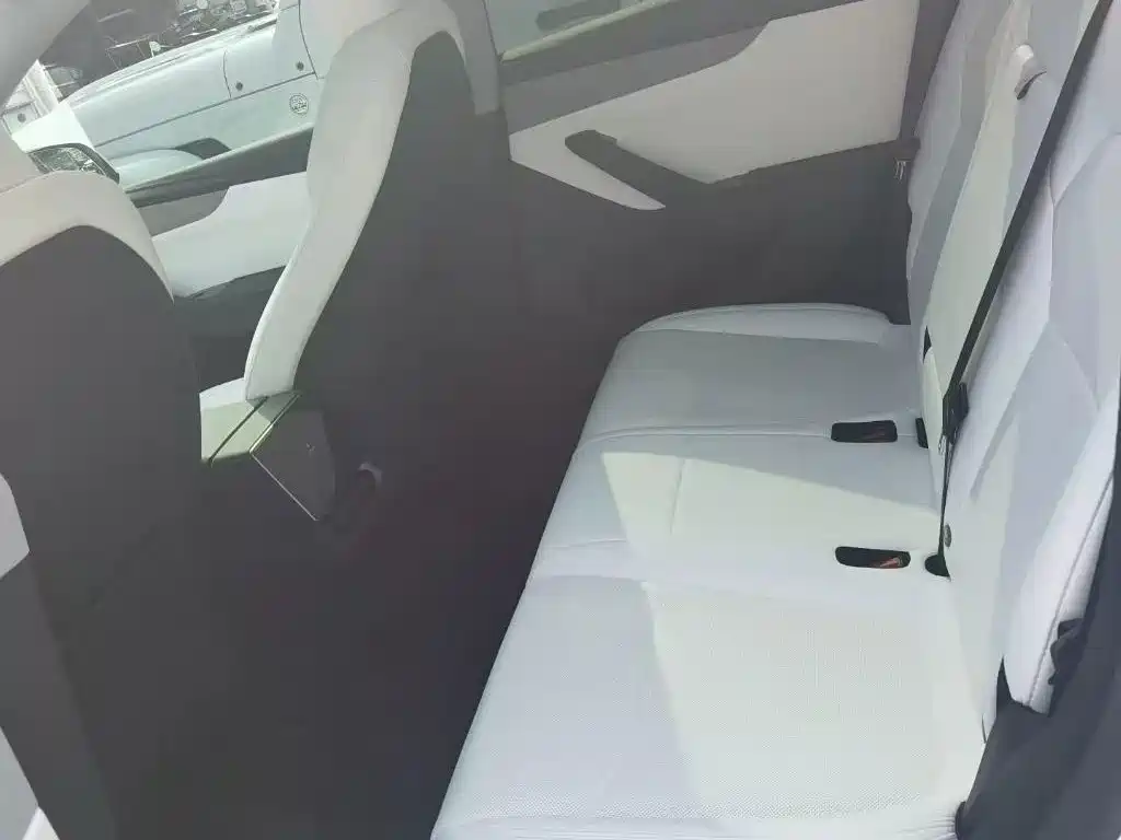Tesla Model Y — миниатюра 6