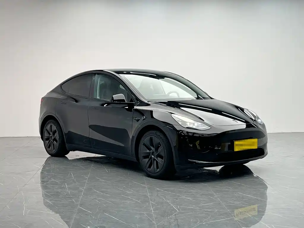 Tesla Model Y — миниатюра 8