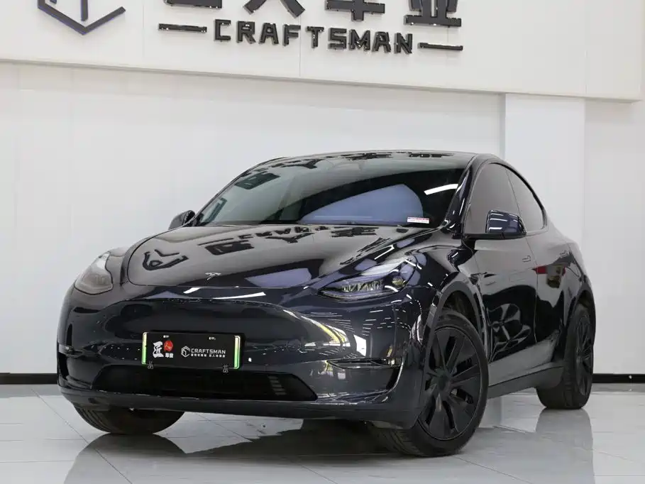 Tesla Model Y — миниатюра 2