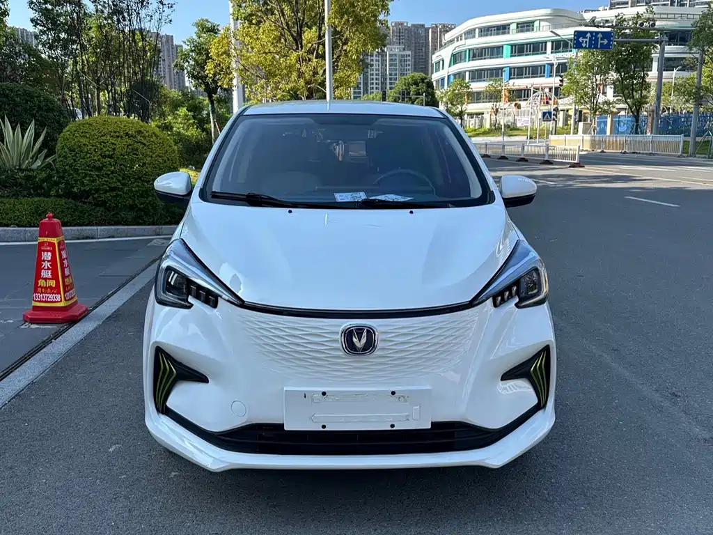 2022 Changan Benni EC/EV - zdjęcie 1 z 9