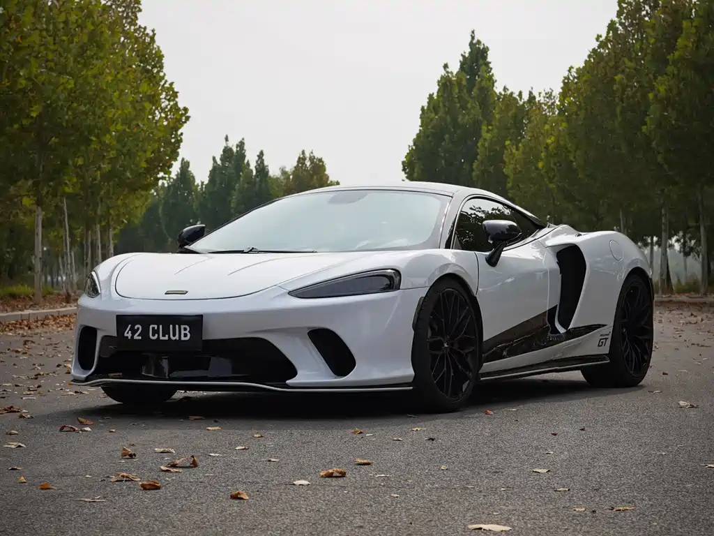 McLaren GT — миниатюра 2