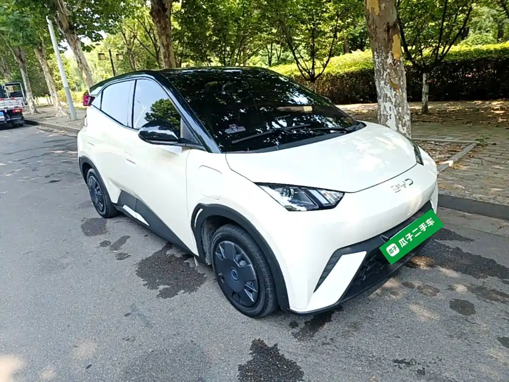 BYD Seagull 2025 305km