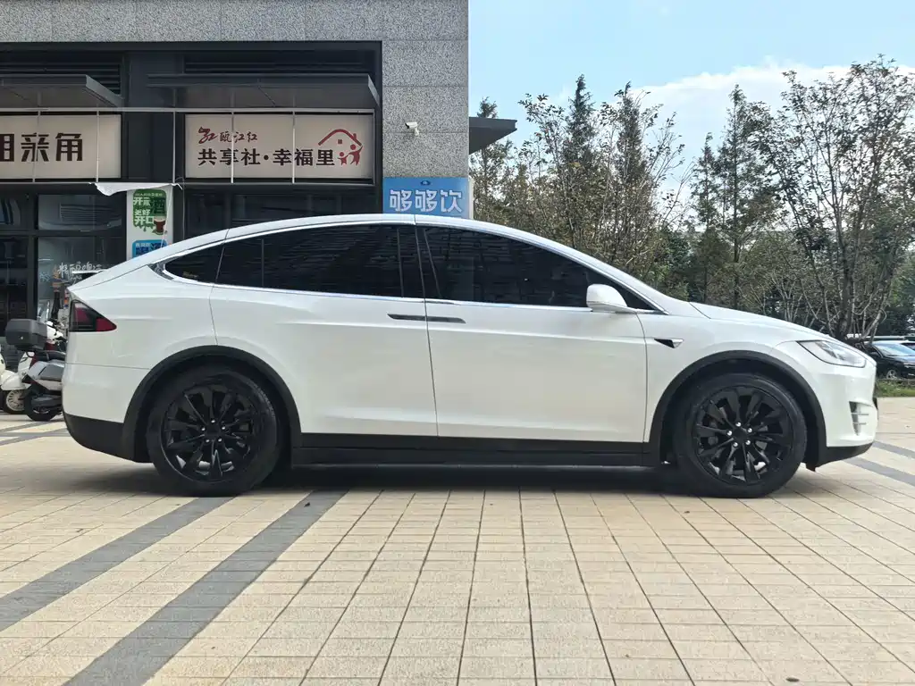 Tesla Model X — миниатюра 13