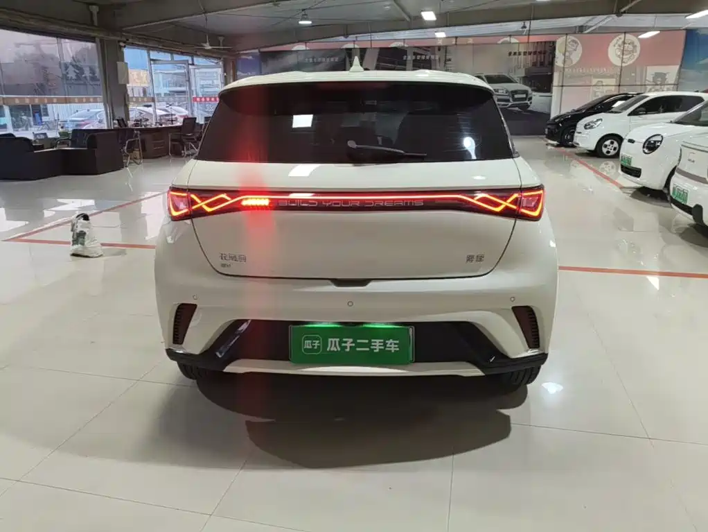 BYD Dolphin — миниатюра 6