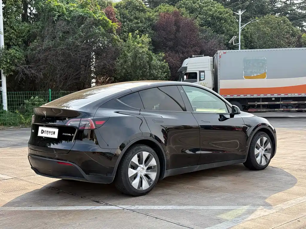 Tesla Model Y — миниатюра 6