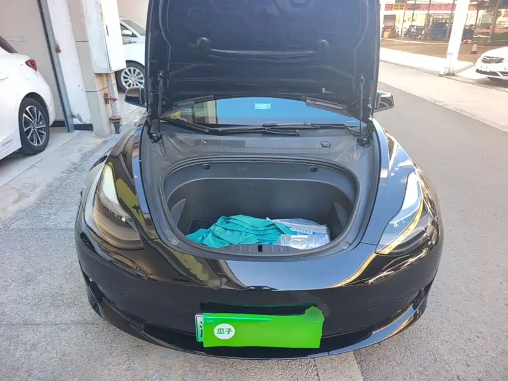 Tesla Model 3 — миниатюра 20