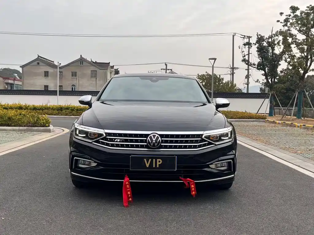 Volkswagen Magotan — миниатюра 2