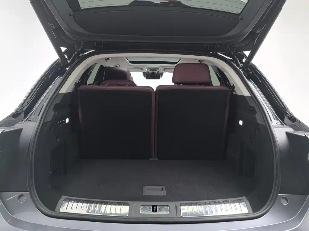 Hongqi Hongqi E-HS9 — миниатюра 16