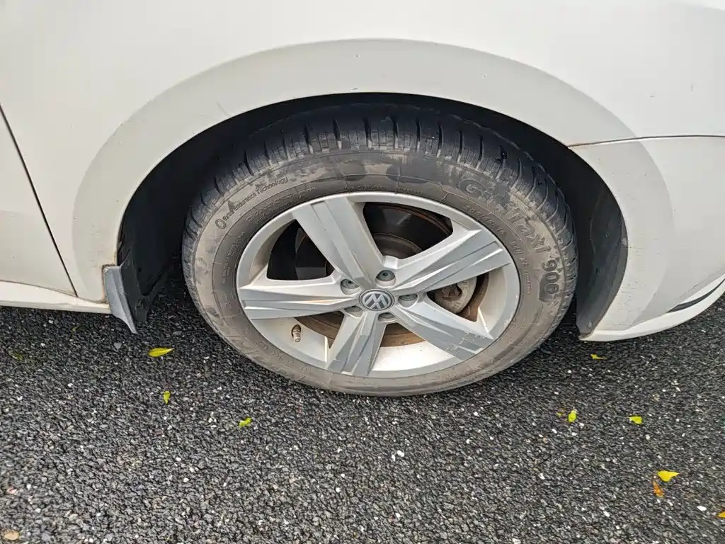 Volkswagen Gran Lavida — миниатюра 24